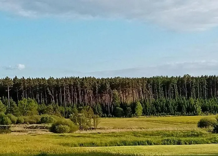Srlin * Bernartice (Pisek)